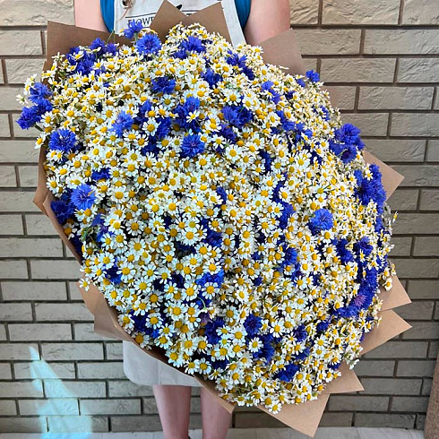 Ромашки и васильки