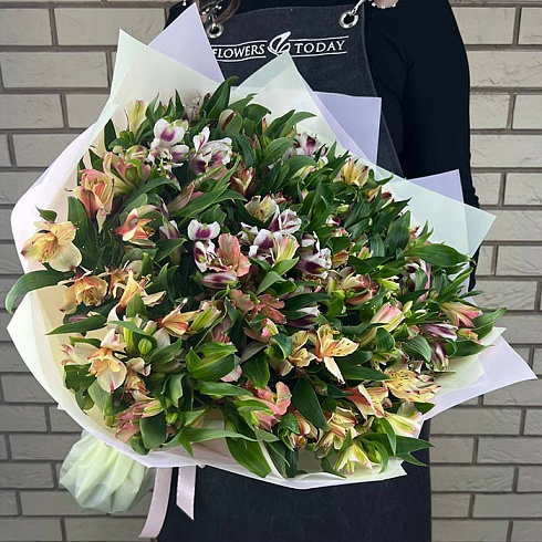 Альстромерии микс нежный