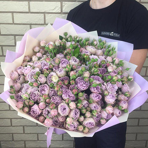 Пионовидные кустовые розы