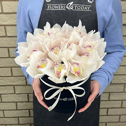 21 белая орхидея в черной коробке