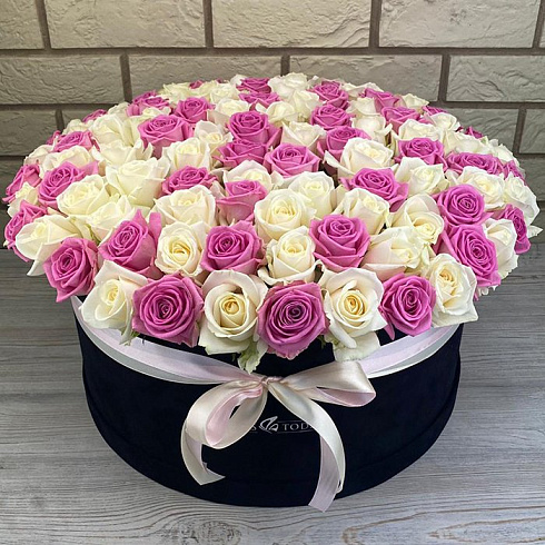 101 белая и розовая роза в черной коробке