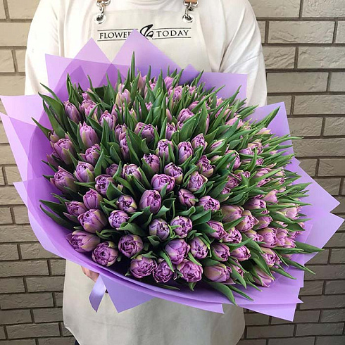 101 фиолетовых тюльпанов
