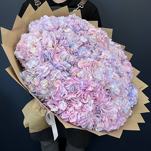 Розово-сиреневые гортензии