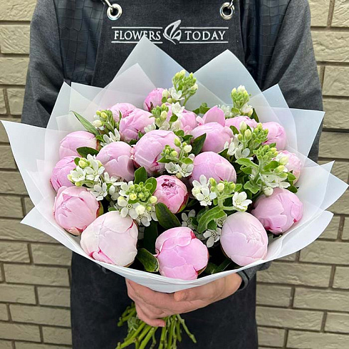 Розовые пионы и белый оксипеталум