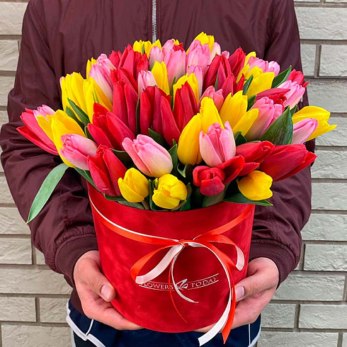 59 тюльпанов микс в красной коробке