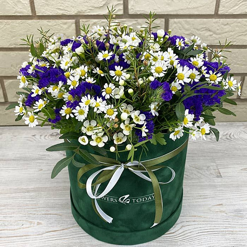 Ромашки, статица и ваксфлор в коробке