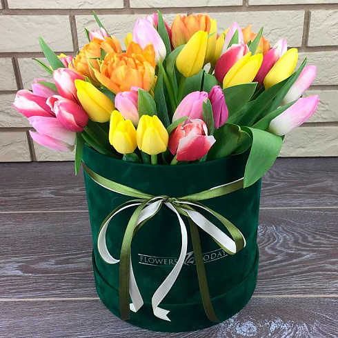 Яркая коробка тюльпанов