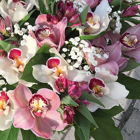Орхидеи в корзине