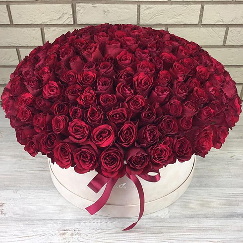 201 элитная роза в бархатной коробке