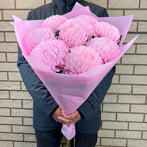 9 розовых крупных хризантем