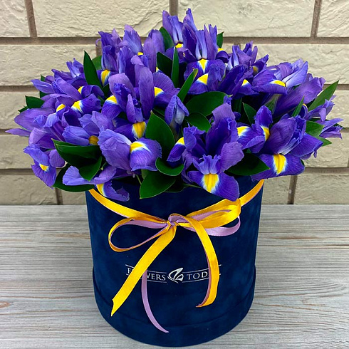 Ирисы в коробке