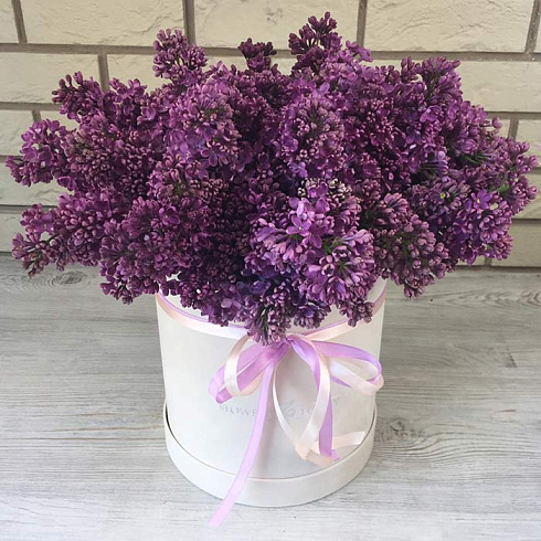 Сирень в коробке