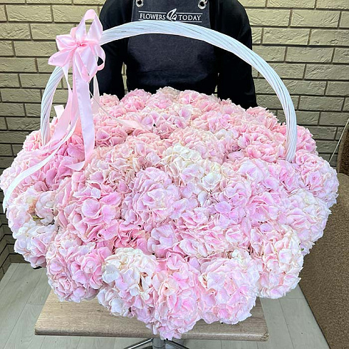 Нежно розовые гортензии в корзине