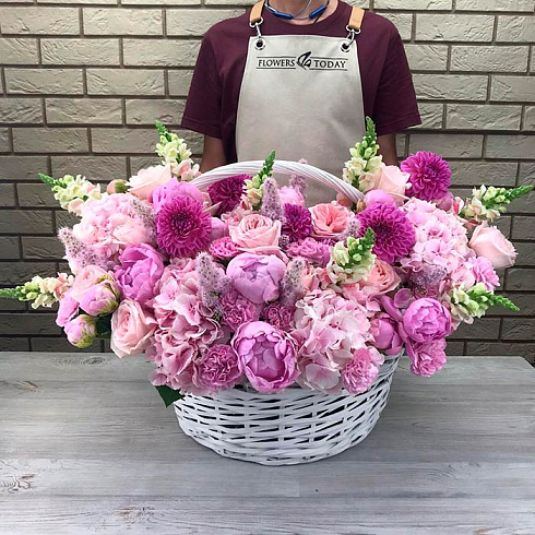 Пионы, георгины, гортензии