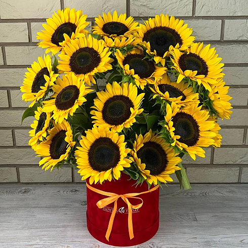 Подсолнухи в красной коробке