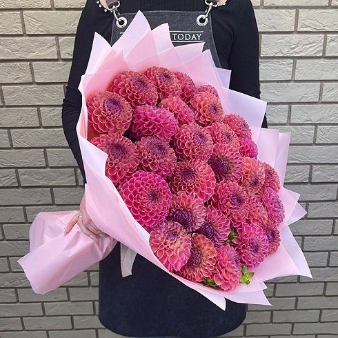 29 бордовых георгин в дизайнерской упаковке