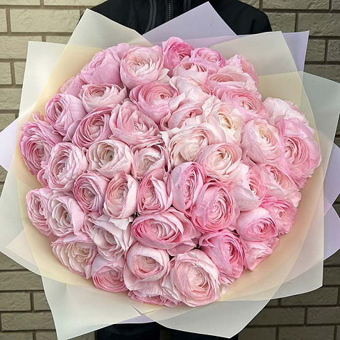 49 розовых ранункулюсов