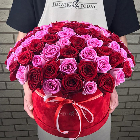 101  красная и розовая роза