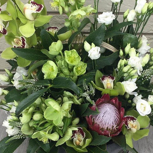 Корзина экзотики