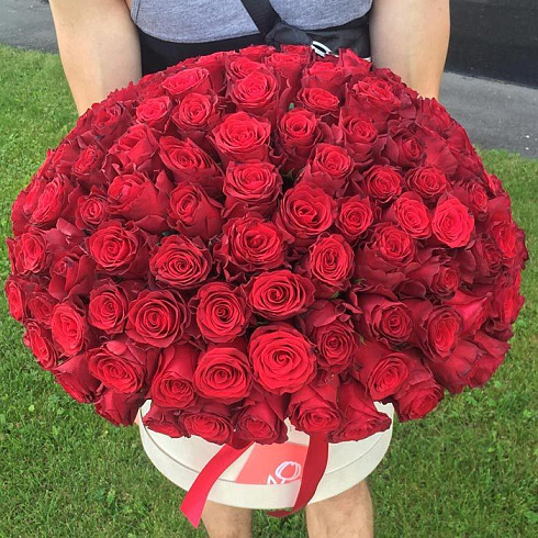 Эквадорские розы в бархатной коробке
