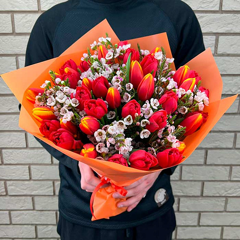 Оранжевые и красные тюльпаны микс с хамелациумом