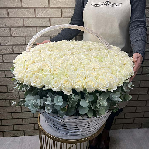 151 белая роза и эвкалипт в корзине