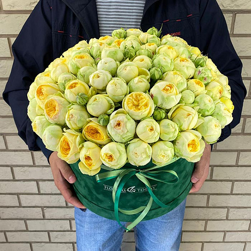 Зеленые кустовые пионовидные розы в коробке