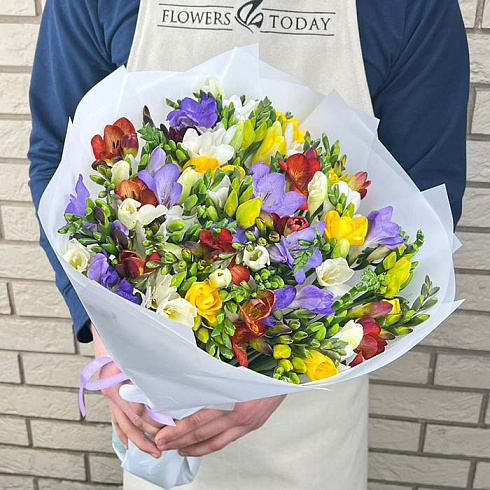 Фрезии микс