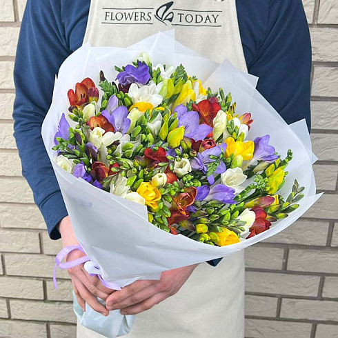 Фрезии микс