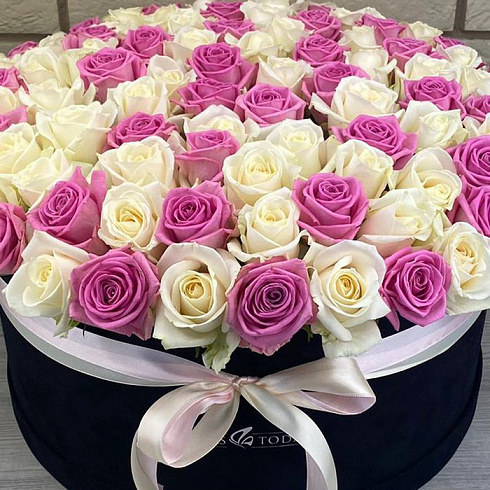 101 белая и розовая роза в черной коробке