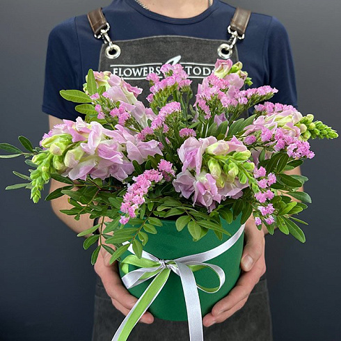 Небольшая композиция из антиринуума и статицы