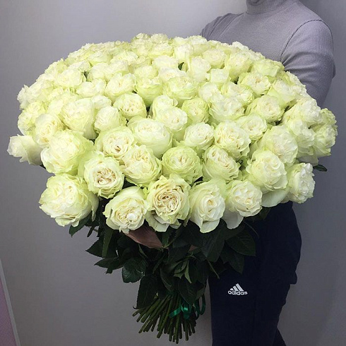 101 крупная роза