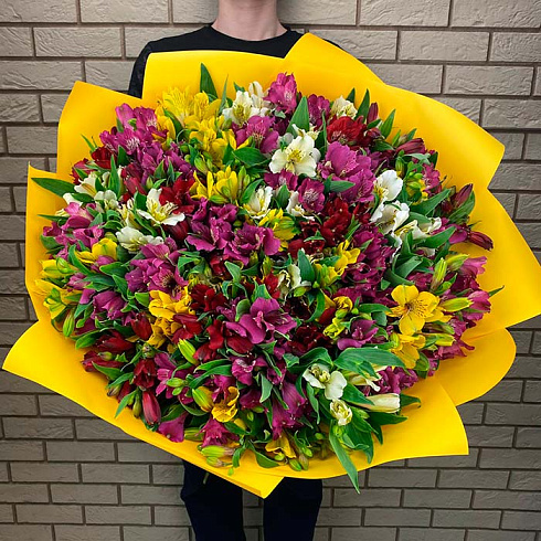 49 альстромерий микс