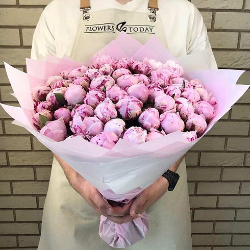 51 розовый пион