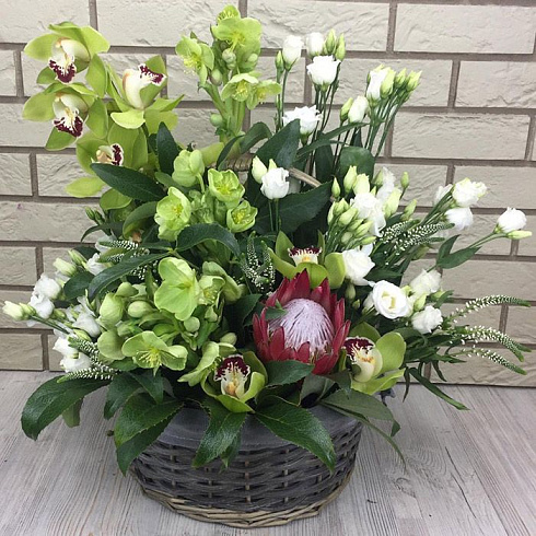 Корзина экзотики