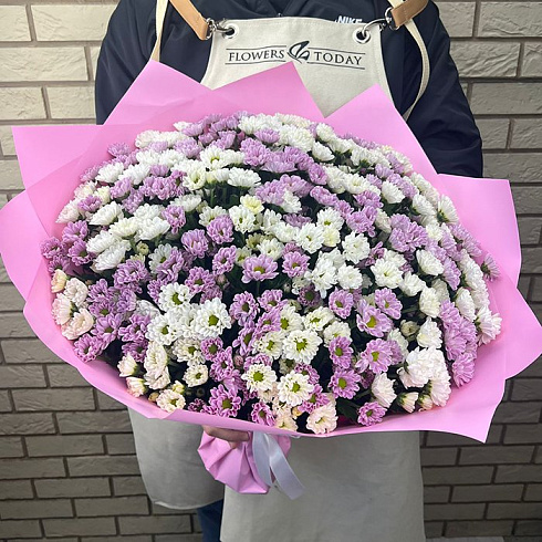 49 хризантем