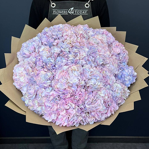 Розово-сиреневые гортензии