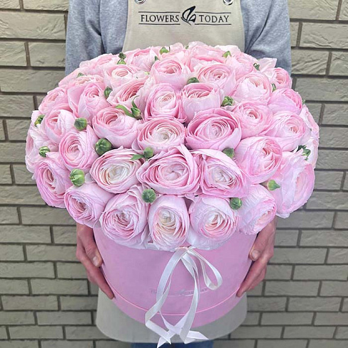 Нежные розовые ранункулюсы в коробке