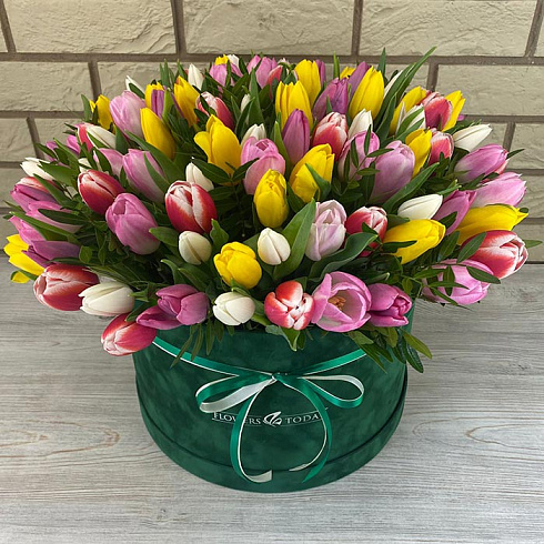 121 тюльпан микс в коробке