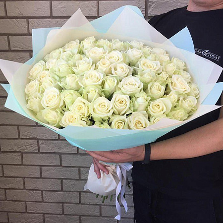 51 белая роза