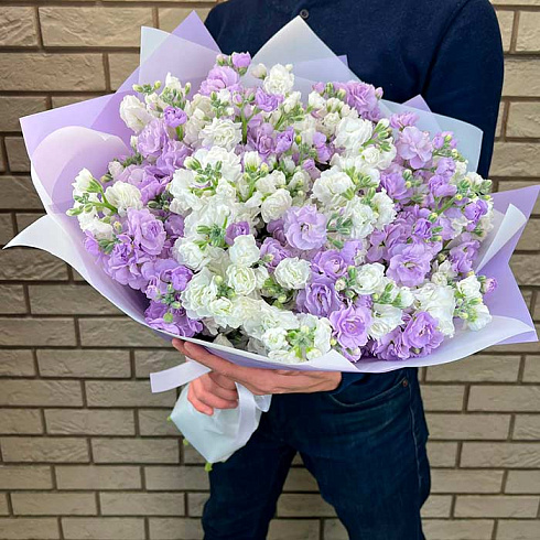 Маттиолы микс