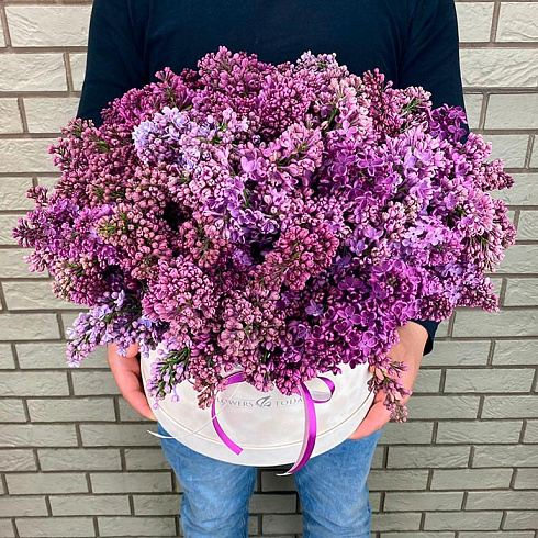 Сирень в бежевой коробке