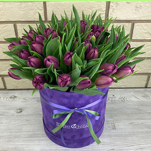 Фиолетовые тюльпаны в коробке