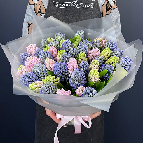 Гиацинты синие и розовые