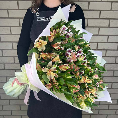 Альстромерии микс нежный