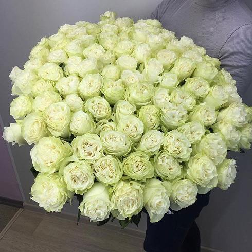 101 крупная роза