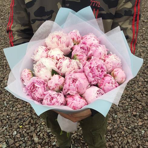 21 розовый пион