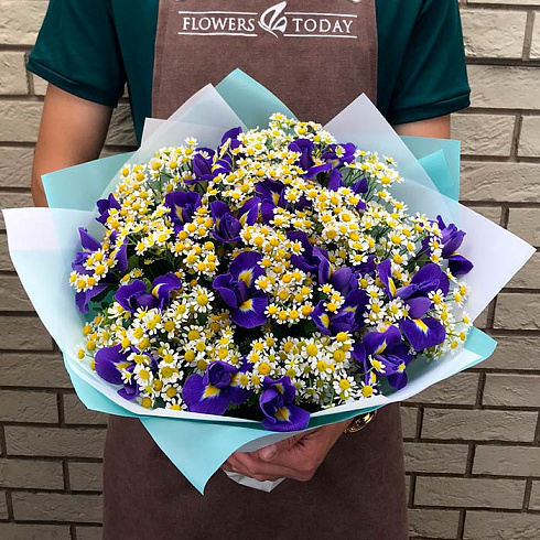 Ромашки и ирисы