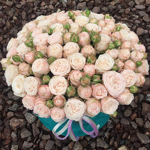 Кустовые пионовидные розы