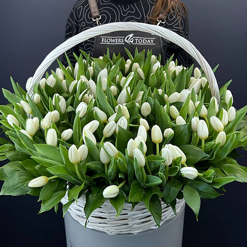 Корзина белых тюльпанов